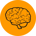 DTD Brain Icon